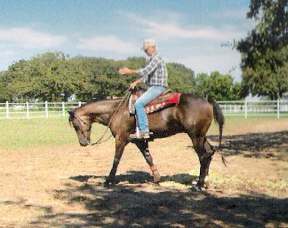 Hal on horse (recent)